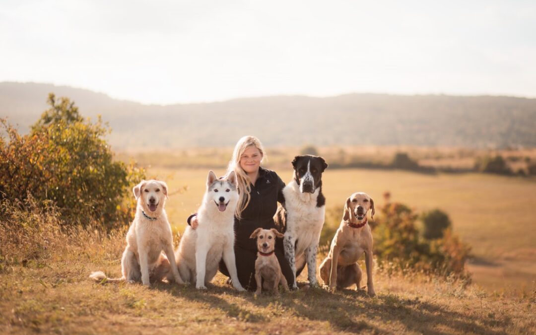 Kutyakiképző – Csúcs Bernadett